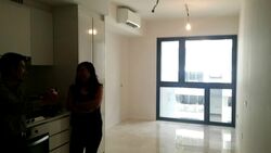The Lakefront Residences (D22), Condominium #558418301